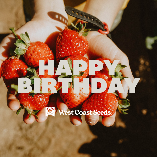 Electronic Gift Card