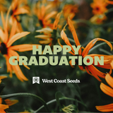 Electronic Gift Card