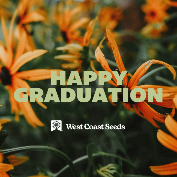 Electronic Gift Card