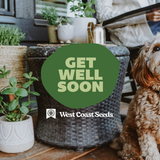 Electronic Gift Card