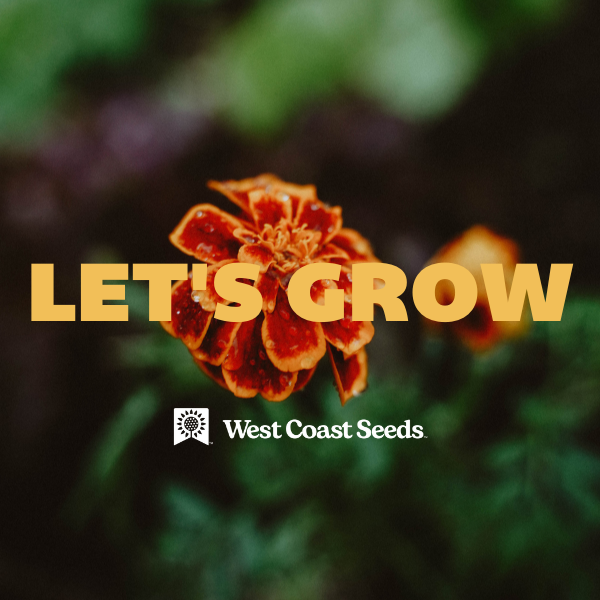 Electronic Gift Card