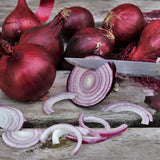 Red Onion Sets