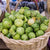 Toma Verde Tomatillo Seeds
