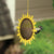 Sunflower Chips/Hearts Feeder