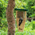 Tail Prop Suet Cake Feeder