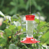 Glass Hummingbird Feeder (10 oz)