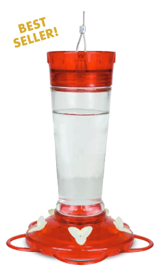 Glass Hummingbird Feeder (10 oz)