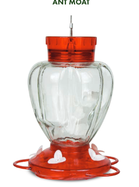 Glass Hummingbird Feeder (29oz)
