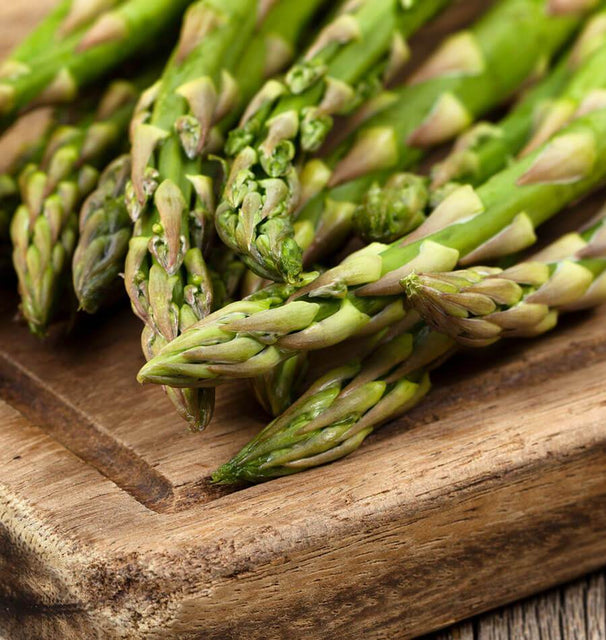 Guelph Millennium Asparagus Seeds