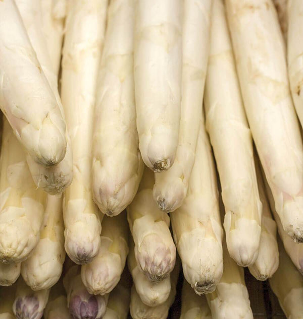 Voltaire Asparagus Seeds