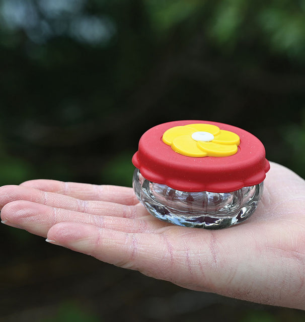 Handheld Glass Hummingbird Feeder – West Coast Seeds