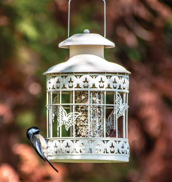 Decorative Squirrel Resistant Feeder