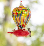 Balloon Hummingbird Feeder