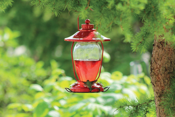 Lantern Style Glass Feeder