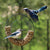 Wreath Peanut Feeder Black