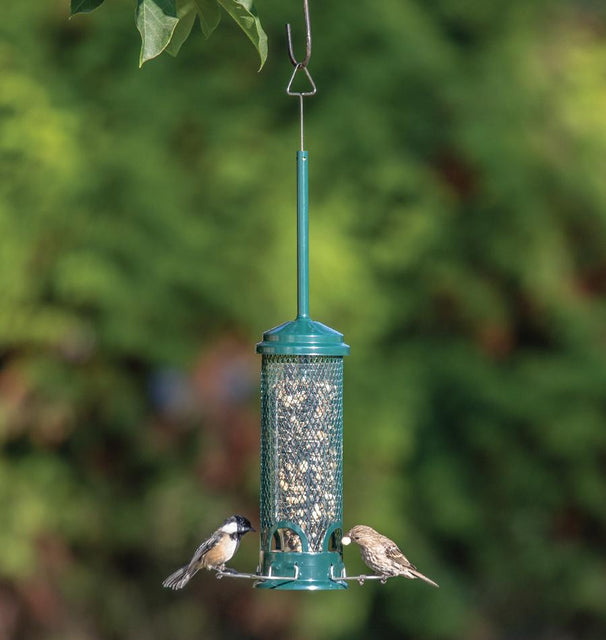 Squirrel Buster Bird Feeder