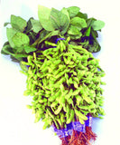 Kuroshinju Soybean Seeds for Edamame