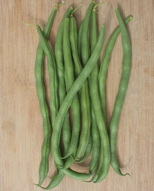 Matilda Pole Bean Seeds BN134-1