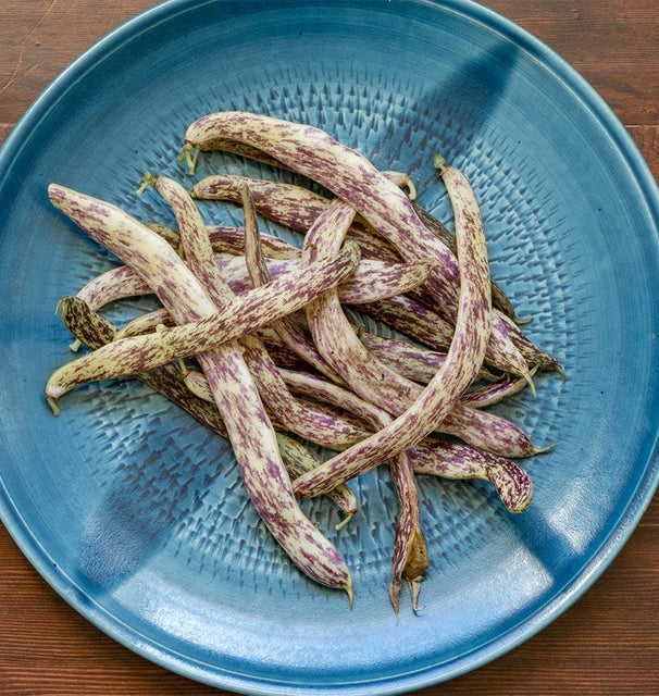 Dragon Tongue Bean seeds
