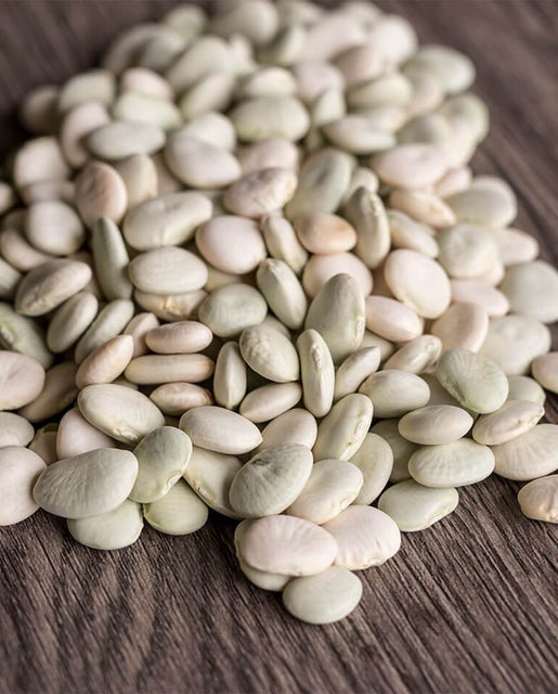 BN171 Early Thorogreen Lima Bean Seeds