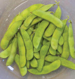 Tohya Soybean Seeds
