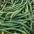 Seychelles Organic