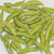Kuroshinju Soybean Seeds