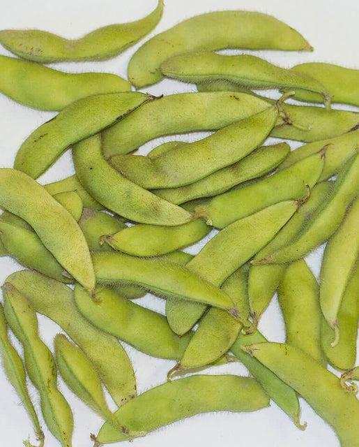 Kuroshinju Soybean Seeds