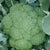 Green Magic