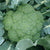 Green Magic