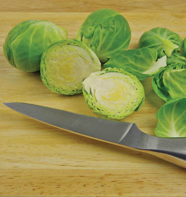 Nautic Organic Brussels Sprouts Seeds BS211-1