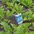 Early Wonder Tall Top beet seeds