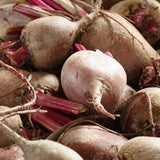 Detroit Supreme Beet Seeds BT161 1