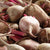 Detroit Supreme Beet Seeds BT161 1