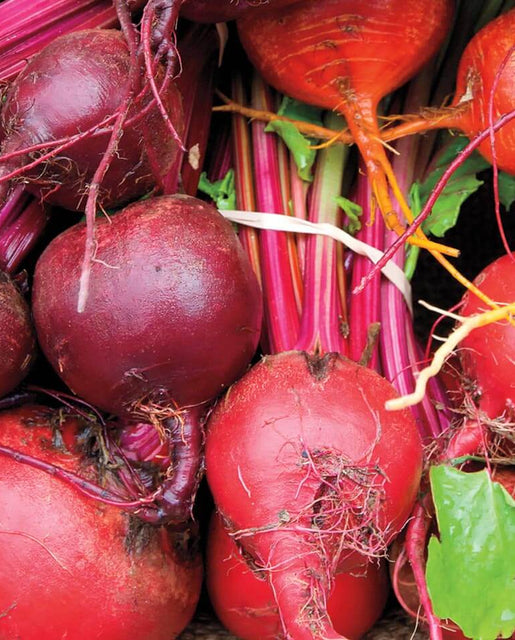 Blending beets deals