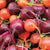 Beet Blend Beet Seeds BT171 4