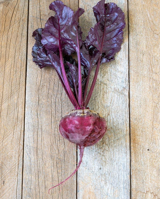 Bull s Blood 3g approx. 249 seeds