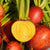 Touchstone Gold Beet Seeds