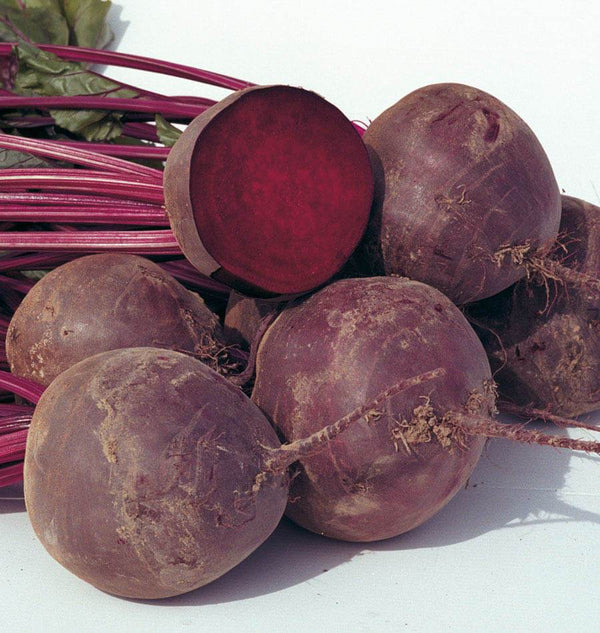 Boro Organic Beet Seeds BT180 1