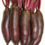 Taunus F1 Beet Seeds