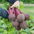Subeto F1 Organic