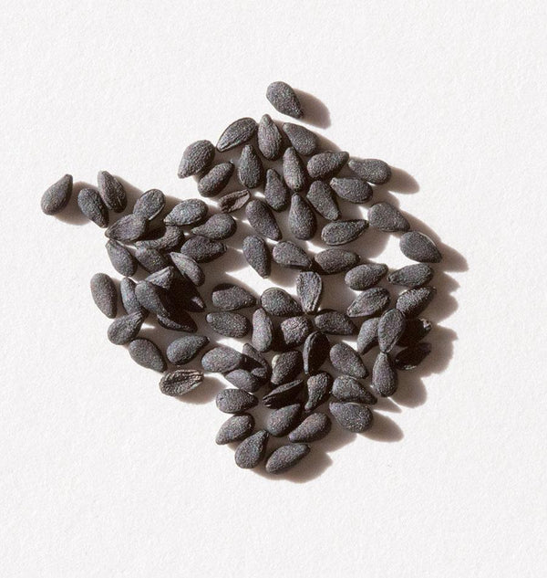black sesame seed plant Black Sesame Seeds – West Coast Seeds