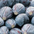 Integro Organic Cabbage Seeds