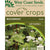 Buckwheat Cover Crops Seeds