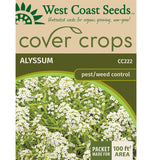 Alyssum Cover Crop Seeds