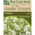 Alyssum Cover Crop Seeds