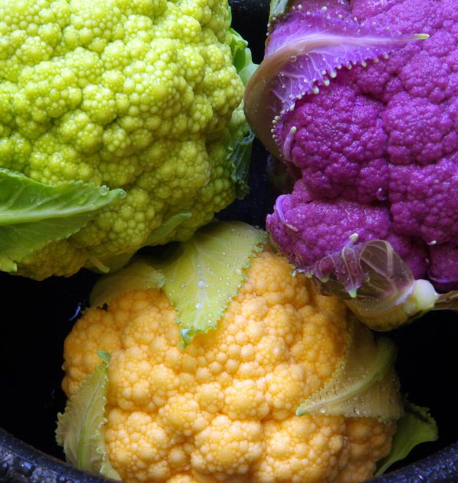 Multi-Colour Blend Cauliflower Seeds – West Coast Seeds