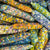 Glass Gem Organic