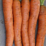 Napoli Organic