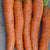 Napoli Organic